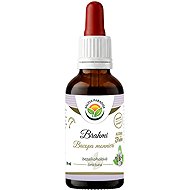 Salvia Paradise Bacopa Monnieri Brahmi AF Tincture 50ml - Herbal Drops