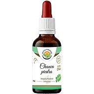 Salvia Paradise Chanca Piedra AF Tincture 50ml - Herbal Drops