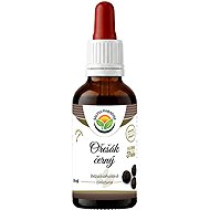 Salvia Paradise Black Walnut AF Tincture 50ml - Herbal Drops