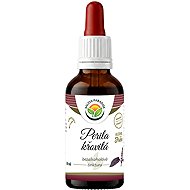 Salvia Paradise Shiso Perilla AF Tincture 50ml - Herbal Drops