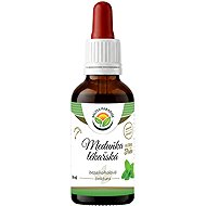 Salvia Paradise Lemon Balm AF Tincture 50ml - Herbal Drops
