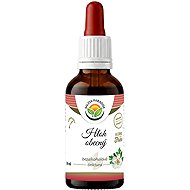 Salvia Paradise Common Hawthorn AF Tincture 50ml - Herbal Drops