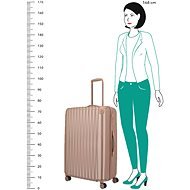 Titan Barbara Glint L Rose metallic - Suitcase