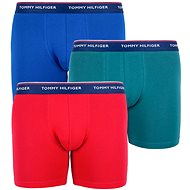 Tommy Hilfiger 3Pack UM0UM00010 052, Multicoloured, size S - Boxer Briefs