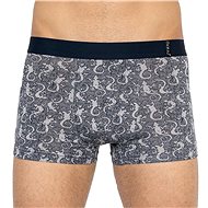 Molvy MP-1019-BEU, Multicoloured, size L - Boxer Briefs