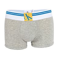 Calvin Klein NB2288A-080, gray L - Boxer Briefs
