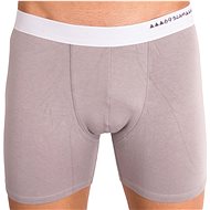 69SLAM MBWGY-BB light, gray size M - Boxer Briefs