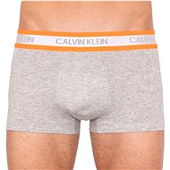 Calvin Klein NB2124A-080, gray size L - Boxer Briefs