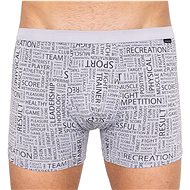 Andrie PS 5297c, gray size 3XL - Boxer Briefs