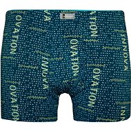 Andrie PS 5095 Cej, green size L - Boxer Briefs