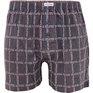 Andrie PS 5461 C, gray size L - Boxer Shorts