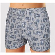 Andrie PS 5348 B, gray size L - Boxer Shorts