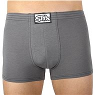 Styx Q1063 gray size XL - Boxer Briefs