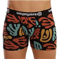Horsefeathers AM070X multicolour size. XL - Boxer Briefs