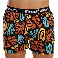 Horsefeathers AA1034U multicolour size. L - Boxer Shorts