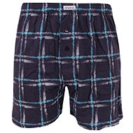 Andrie PS 5565 B - grey size. L - Boxer Shorts