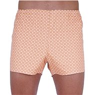Foltýn K46 - brown size. XL - Boxer Shorts