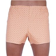 Foltýn K46 - brown size. L - Boxer Shorts