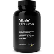 Vilgain Fat Burner 2.0 120 capsules - Fat burner