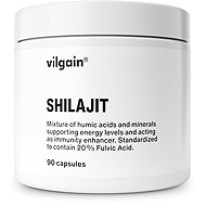 Vilgain Shilajit 90 capsules - Dietary Supplement
