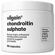 Vilgain Chondroitin Sulphate 90 Capsules - Joint Nutrition