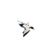 Venator Balabán duck - in flight, full body - Hunting Decoy