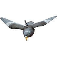 Venator Balabán pigeon - in flight - Hunting Decoy