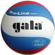 Volleyball Profi 10 - Volleyball