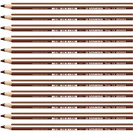 STABILO Trio thick - 12 pcs pack - light brown - Coloured Pencils