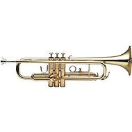 Stagg WS-TR215S - Pipe