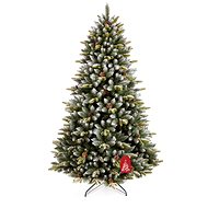Pyrenean spruce - Christmas Tree