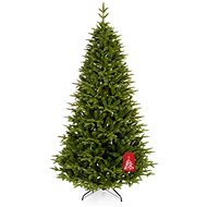 Caucasian Fir 180cm - Christmas Tree
