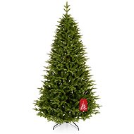 Caucasian fir - Christmas Tree