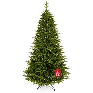 Caucasian Fir 220cm - Christmas Tree