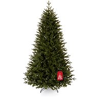 Canadian spruce - Christmas Tree