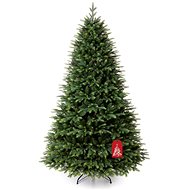Himalayan spruce - Christmas Tree