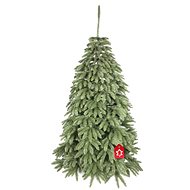 Caucasian spruce 2D - Christmas Tree