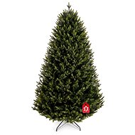 Smrk Nepálský - Christmas Tree