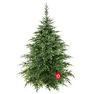 Christmas tree 3D - spruce Natura Premium, 220 cm - Christmas Tree