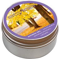 Stylies Aroma Gel Green Tea 60g - Essential Oil