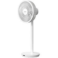 Stylies Antila - Fan