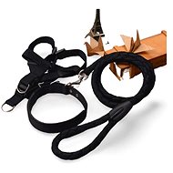 Surtep Leash + harness + collar Easy Black size. L - Leash