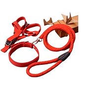 Surtep Leash + harness + collar Easy Red size. XL - Leash