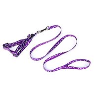 Surtep Harness with leash for dog and cat - Purple - Harness