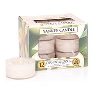 YANKEE CANDLE Tea Candles 12 x 9.8g Champaca Blossom - Candle