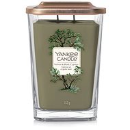 YANKEE CANDLE Vetiver and Black Cypress 552 g - Candle