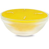 RENTEX Garden Candle with Citronella Lemon 350 g - Repellent Candle