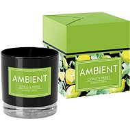 BISPOL Ambient Citrus & Herbs 175g - Candle