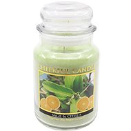 CHEERFUL Šalvěj a Citrusy 680 g  - Candle