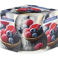 BISPOL berries 100 g - Candle
